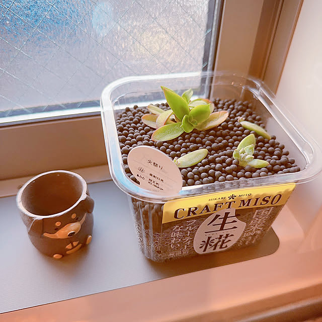 SO105さんの部屋