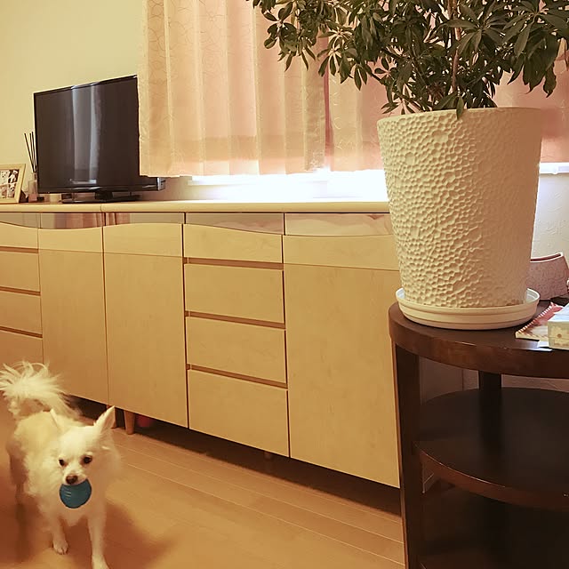 okochinさんの実例写真