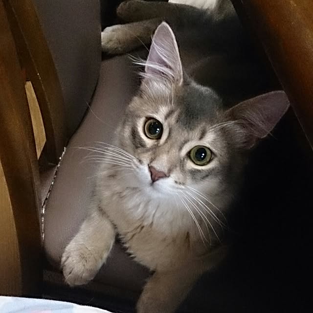 Mariさんの実例写真