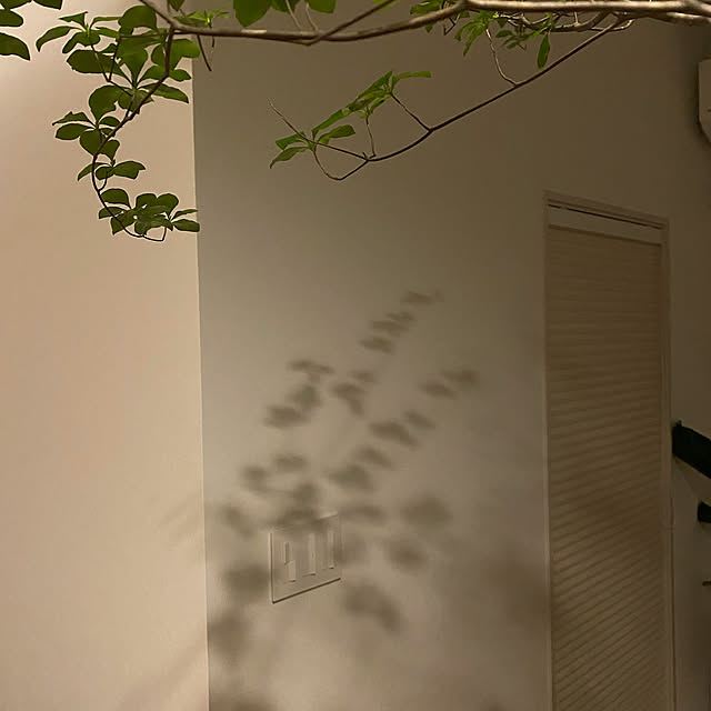casa308さんの部屋
