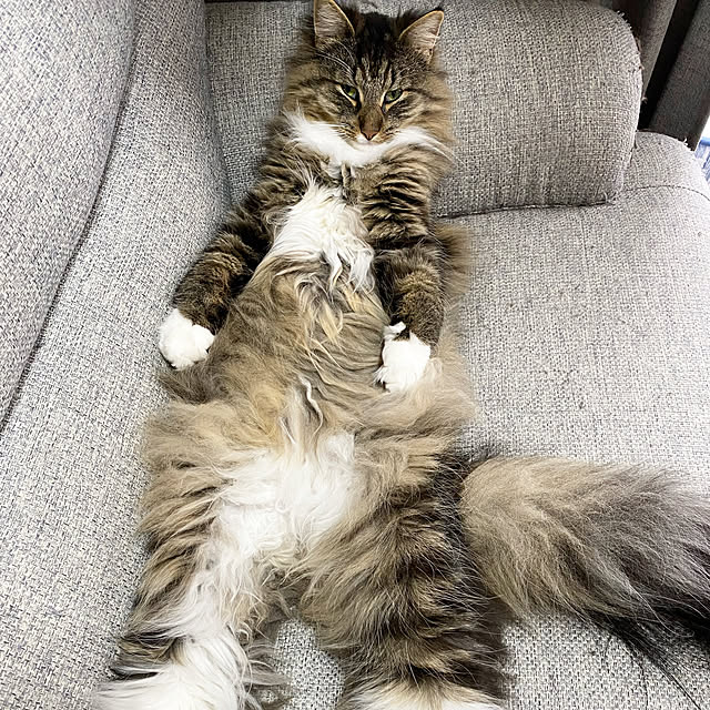 sh.0514さんの実例写真