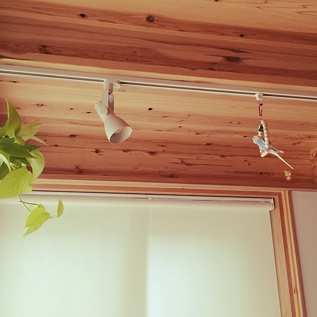 mntkさんの実例写真