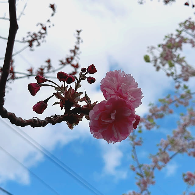 hanahana1444さんの実例写真
