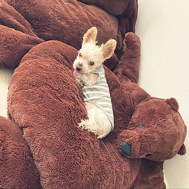 ohanaさんの実例写真