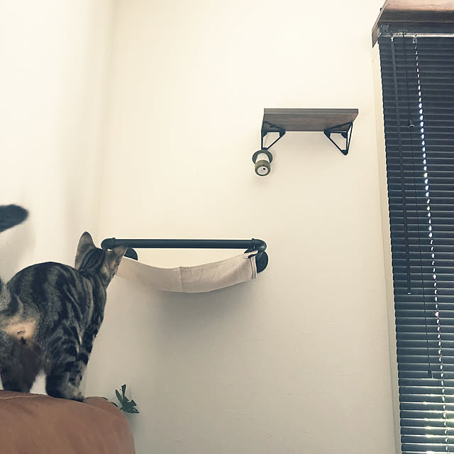 Ayuさんの実例写真