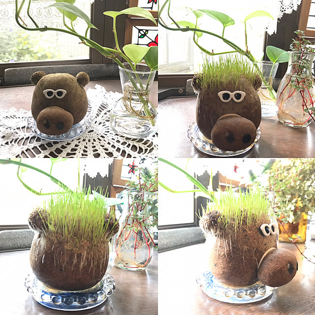 miporinさんの実例写真