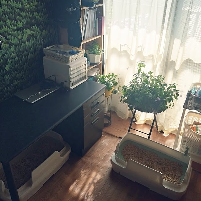NOAHさんの部屋