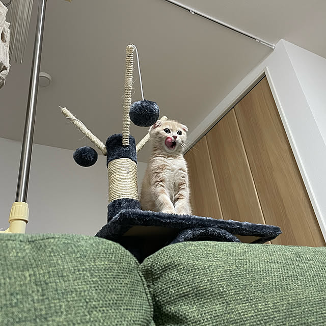 sさんの実例写真