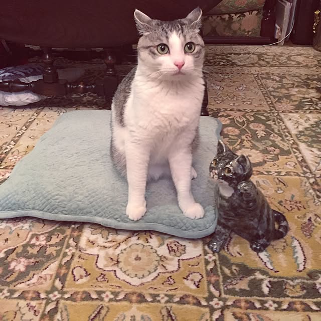 emmyyさんの実例写真