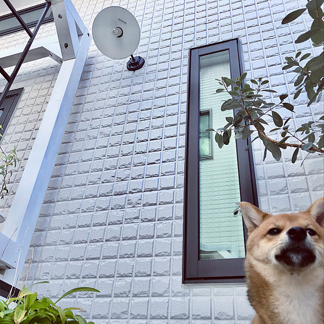 kenzさんの実例写真