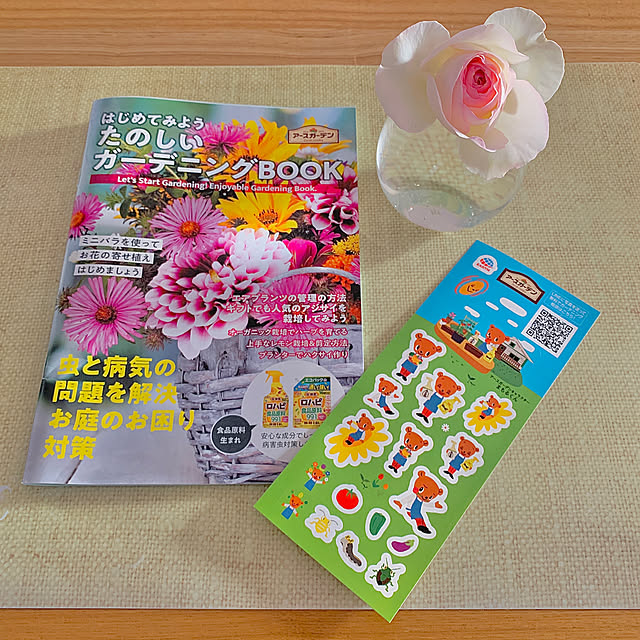 koko_hikaさんの実例写真