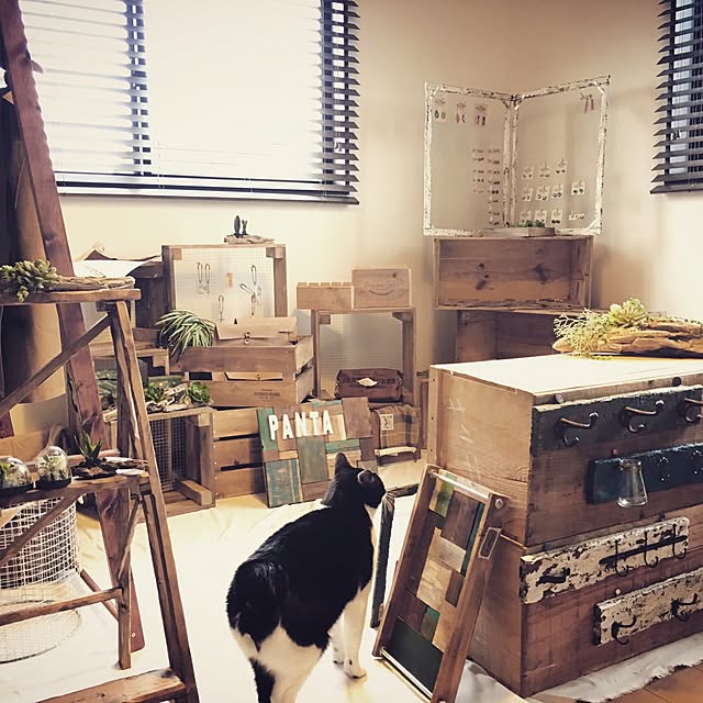 katsuwobushiさんの実例写真