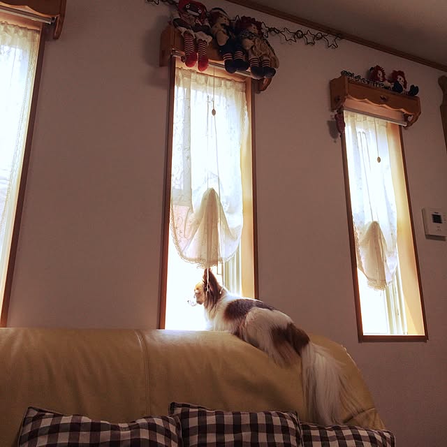 chieさんの実例写真