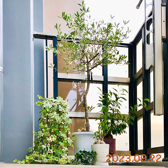 up0524さんの部屋