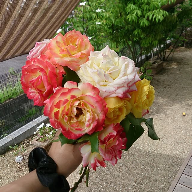 yu-kenさんの実例写真
