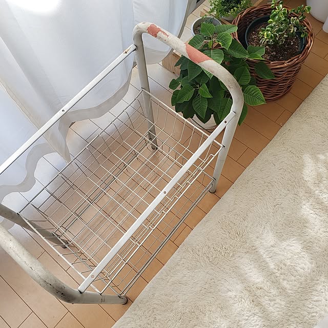 wanidaさんの部屋