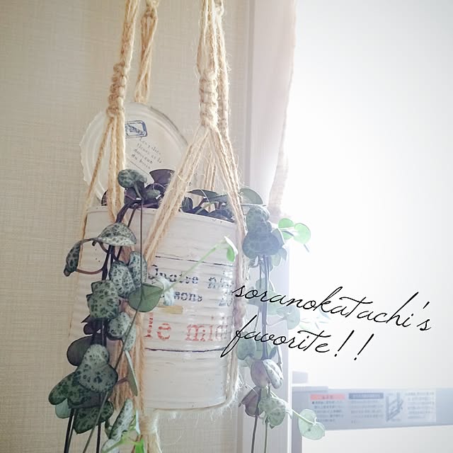 soranokatachiさんの実例写真