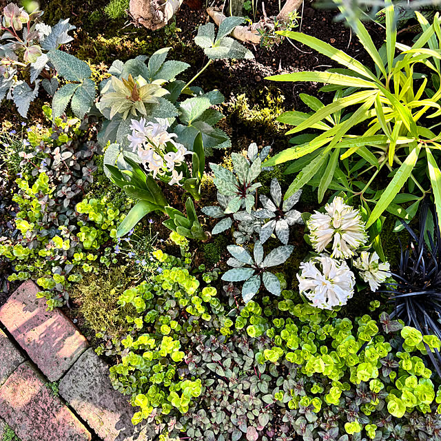 kyoko1124koさんの部屋