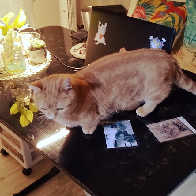 runaさんの部屋