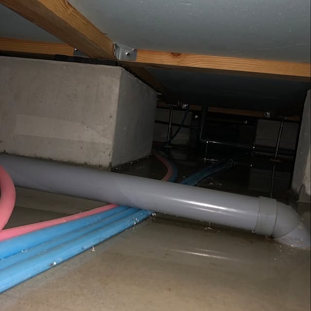 napiさんの部屋