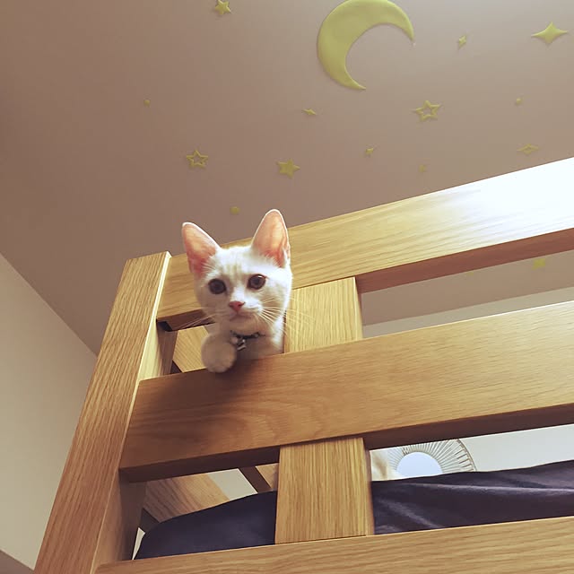 hiyupan88さんの実例写真