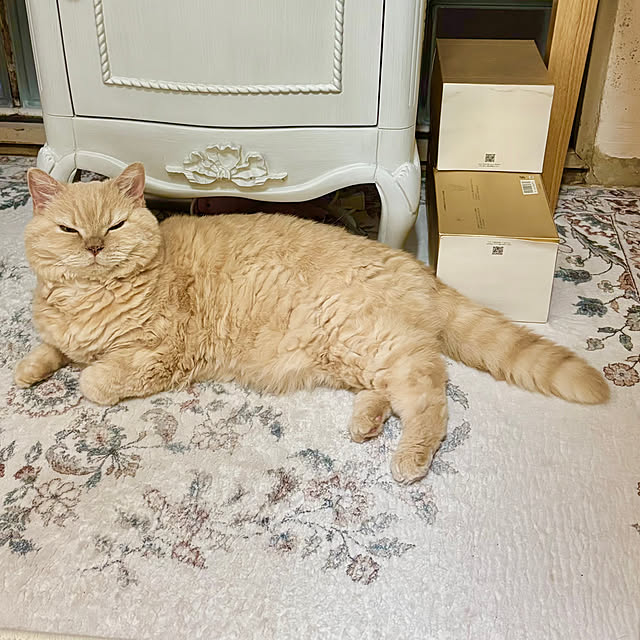 naokoさんの部屋