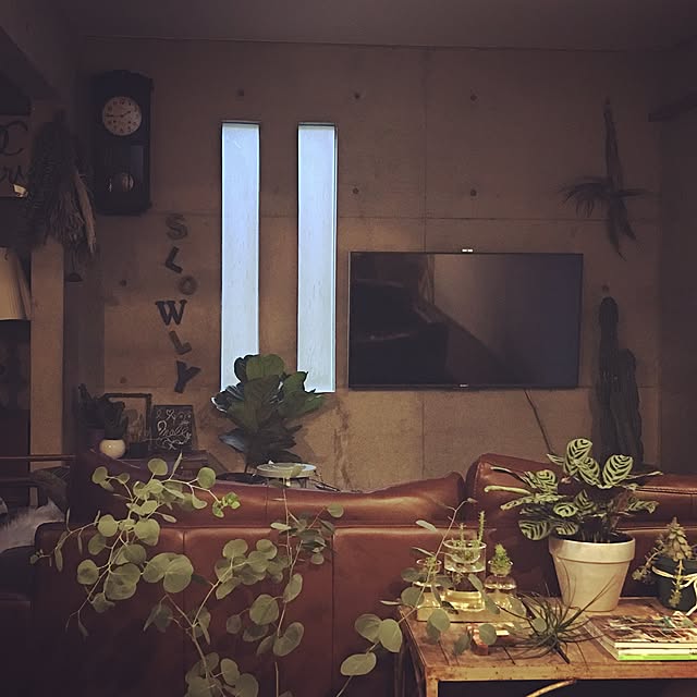ananya___さんの実例写真