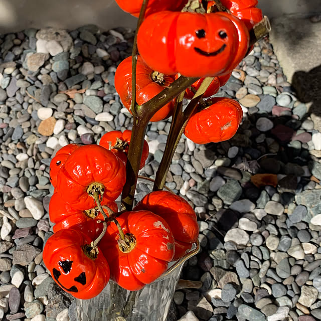 earthさんの実例写真