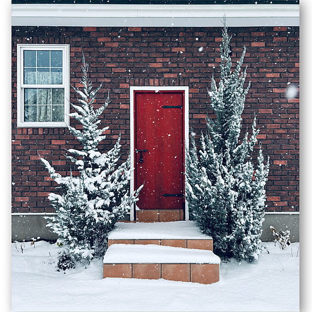 usagiさんの実例写真