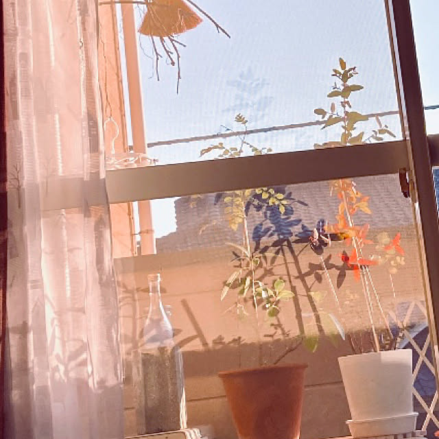 takakoさんの実例写真