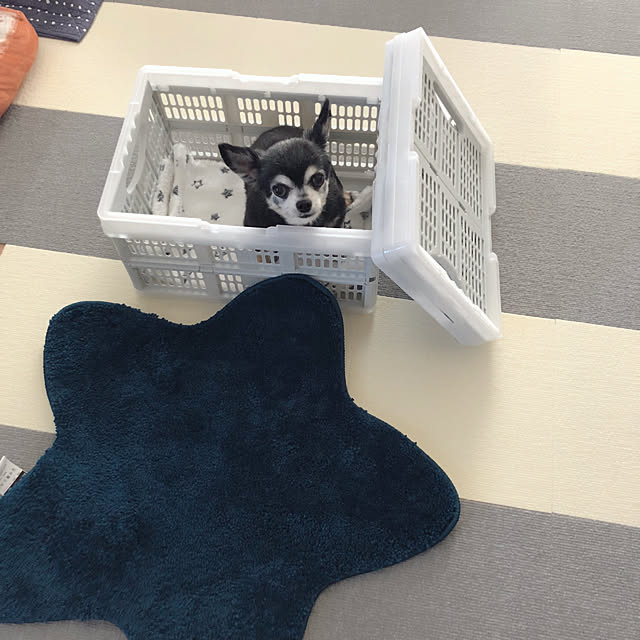Emiさんの実例写真