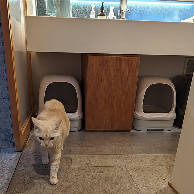 nyanzaurusさんの実例写真