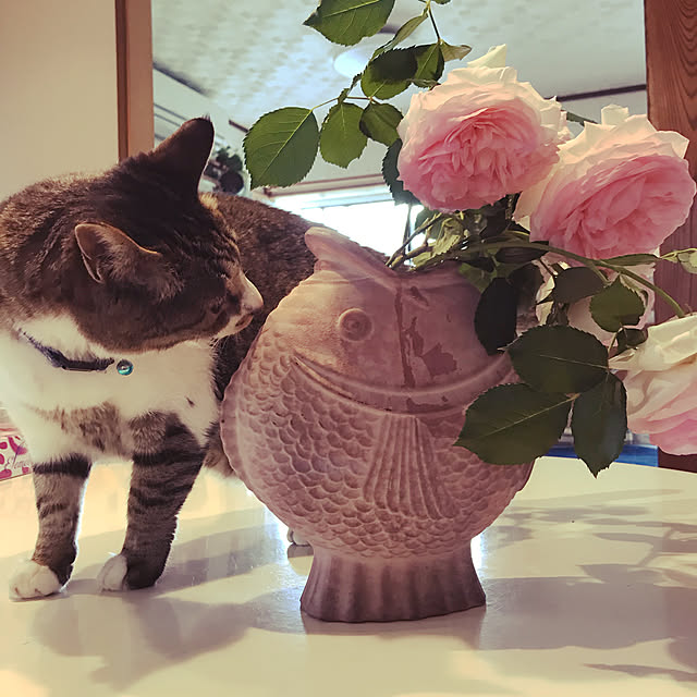 marimoさんの実例写真