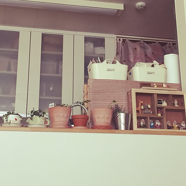 hiroranさんの実例写真