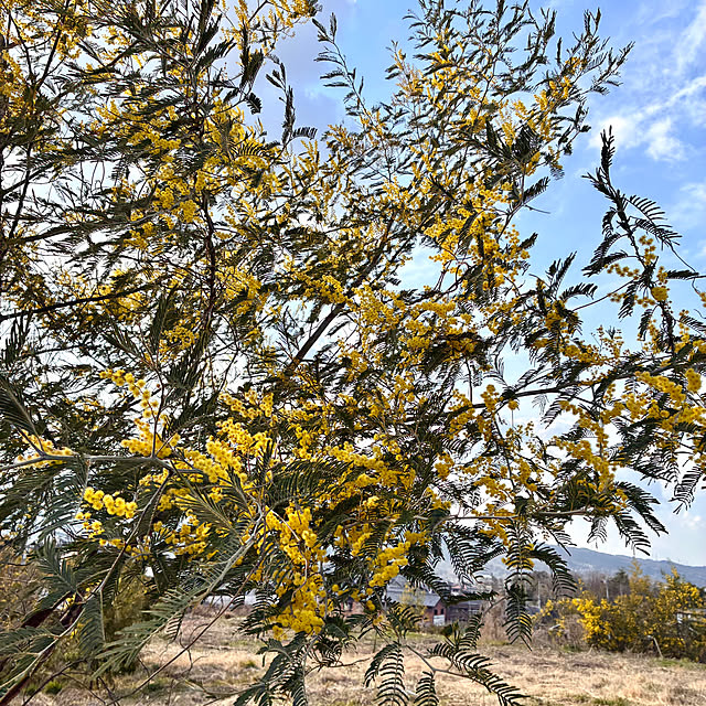 ayayayayaさんの部屋