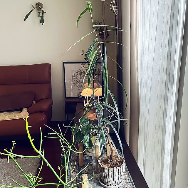 miyamiyaさんの実例写真