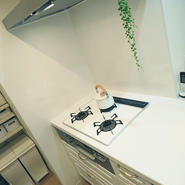 U-_-Ucoccoさんの実例写真