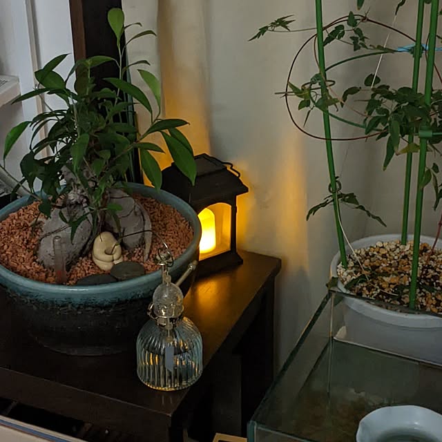 mi-saさんの部屋