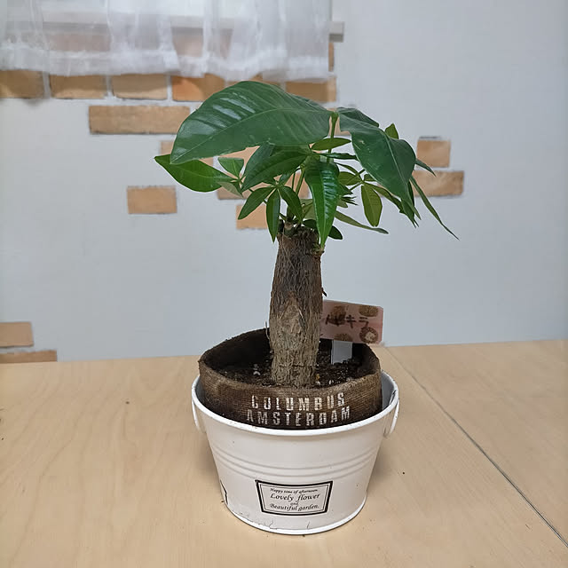 bananaさんの実例写真