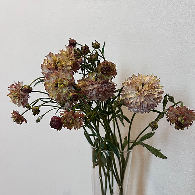 komakiさんの部屋