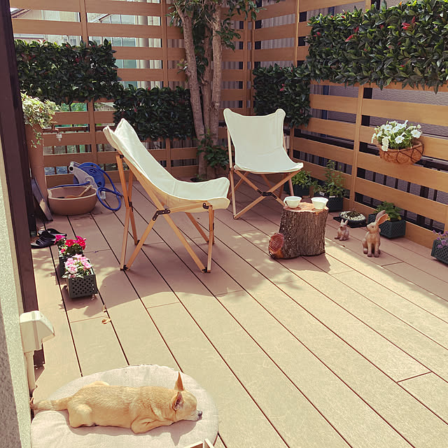 ebihara0720さんの実例写真