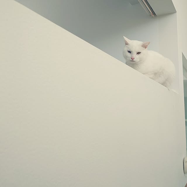 Blackcatさんの部屋