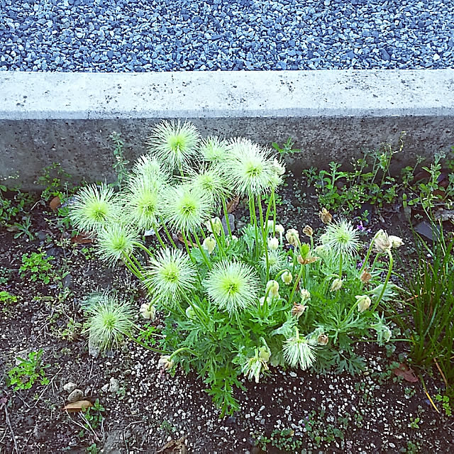 sunflowerさんの実例写真