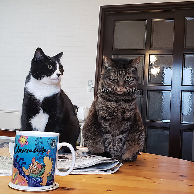 Mayumi8888さんの実例写真