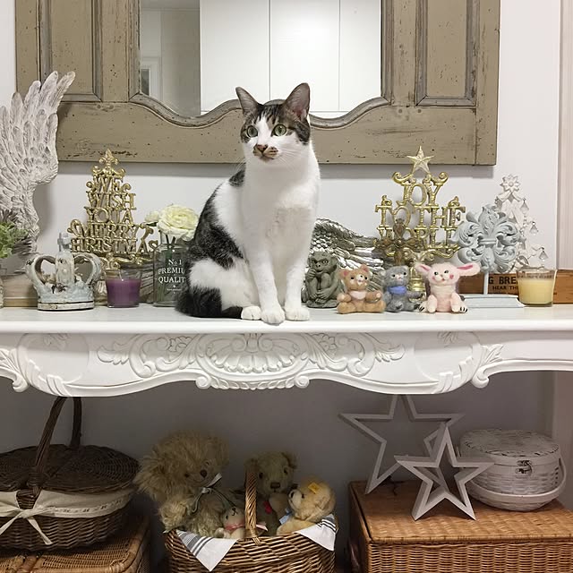 yuchiさんの実例写真