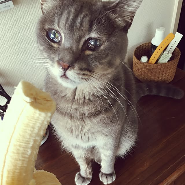 marukoさんの実例写真