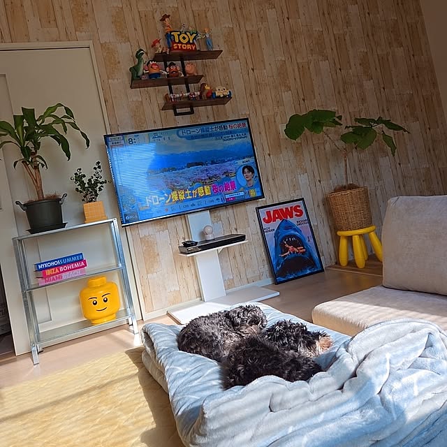 sanaさんの実例写真