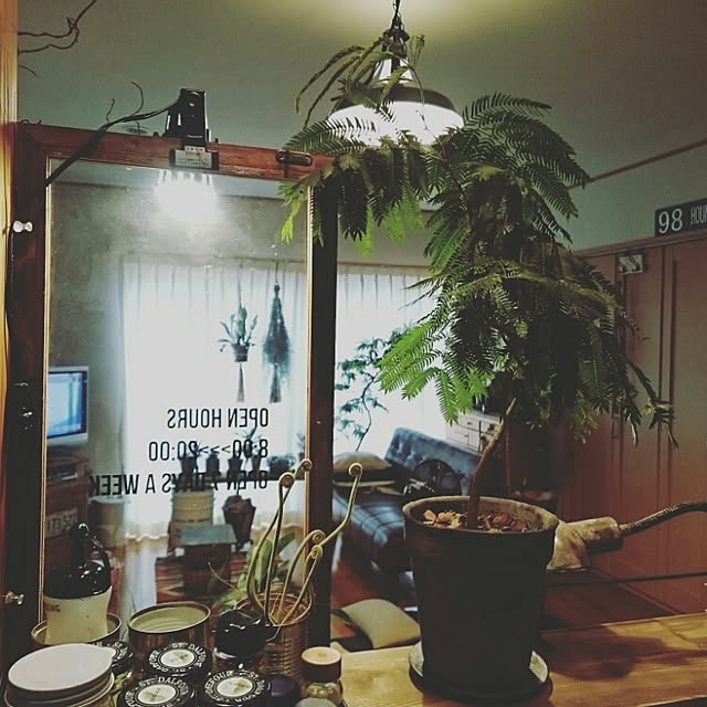 naoonさんの実例写真