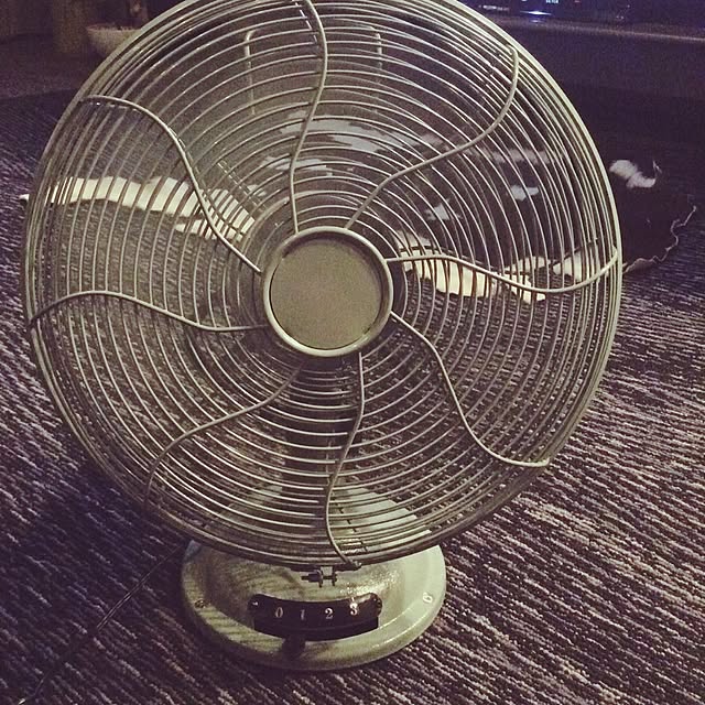 Ayumiさんの実例写真
