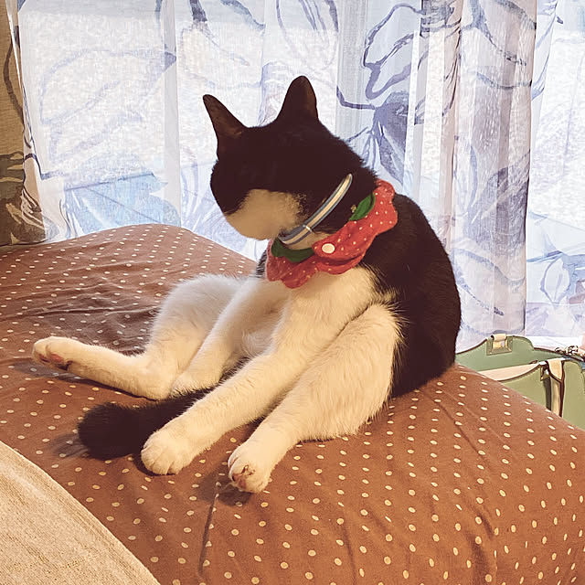 moolさんの実例写真